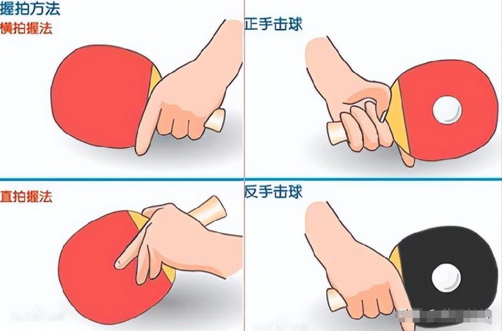 乒乓球拍的正确拿法（拿法图解）